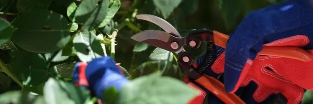 herramientas para cortar y serrar en la agricultura moderna