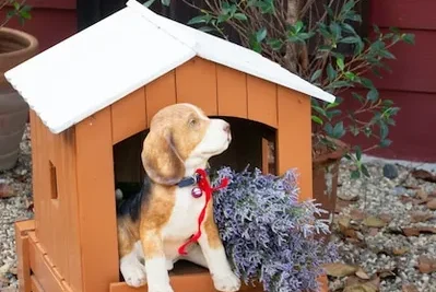 serrar madera para caseta de perro