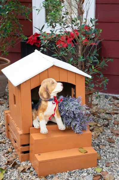 serrar madera para caseta de perro